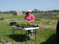 farm table of plants